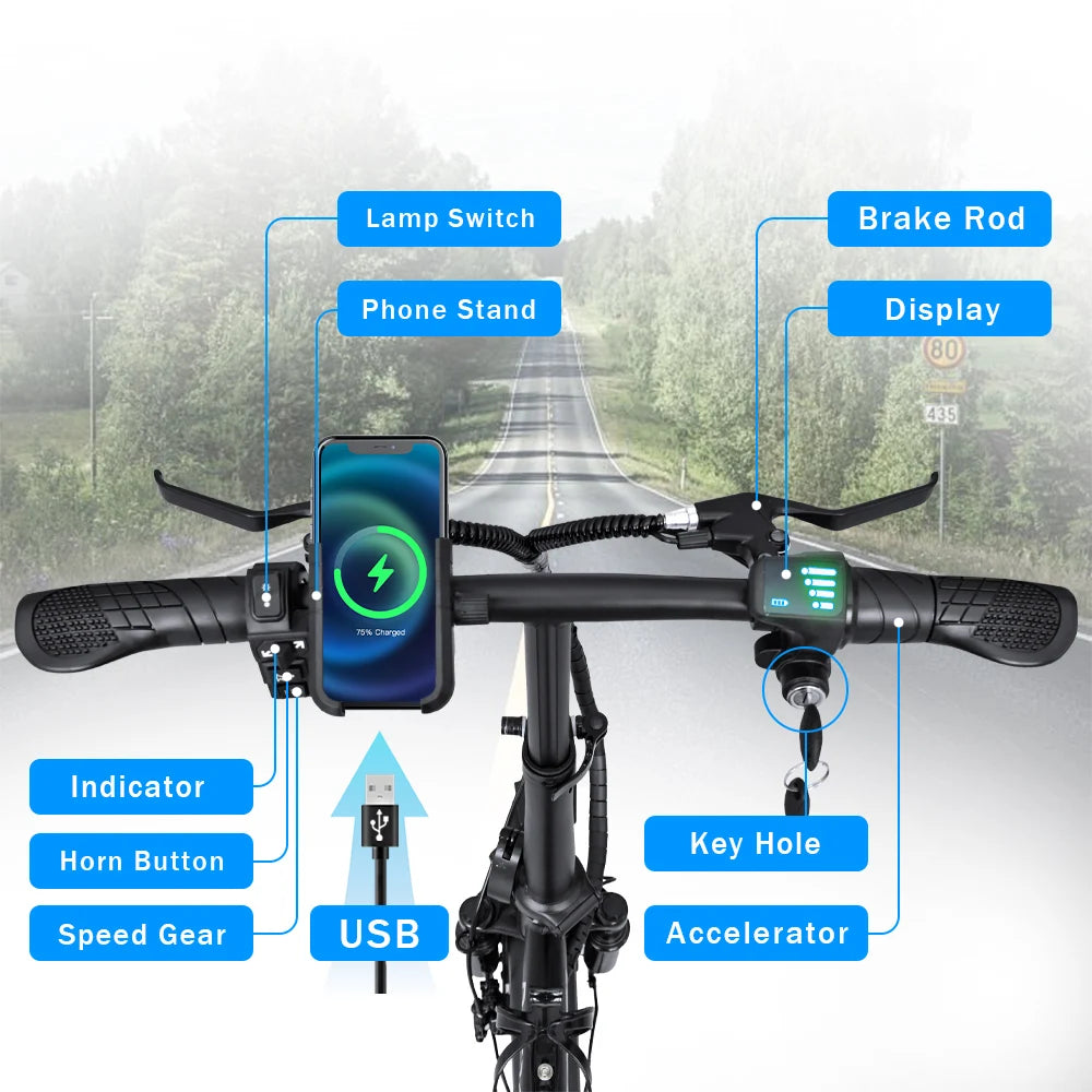 Electric Bike for Adults 600W Peak Motor