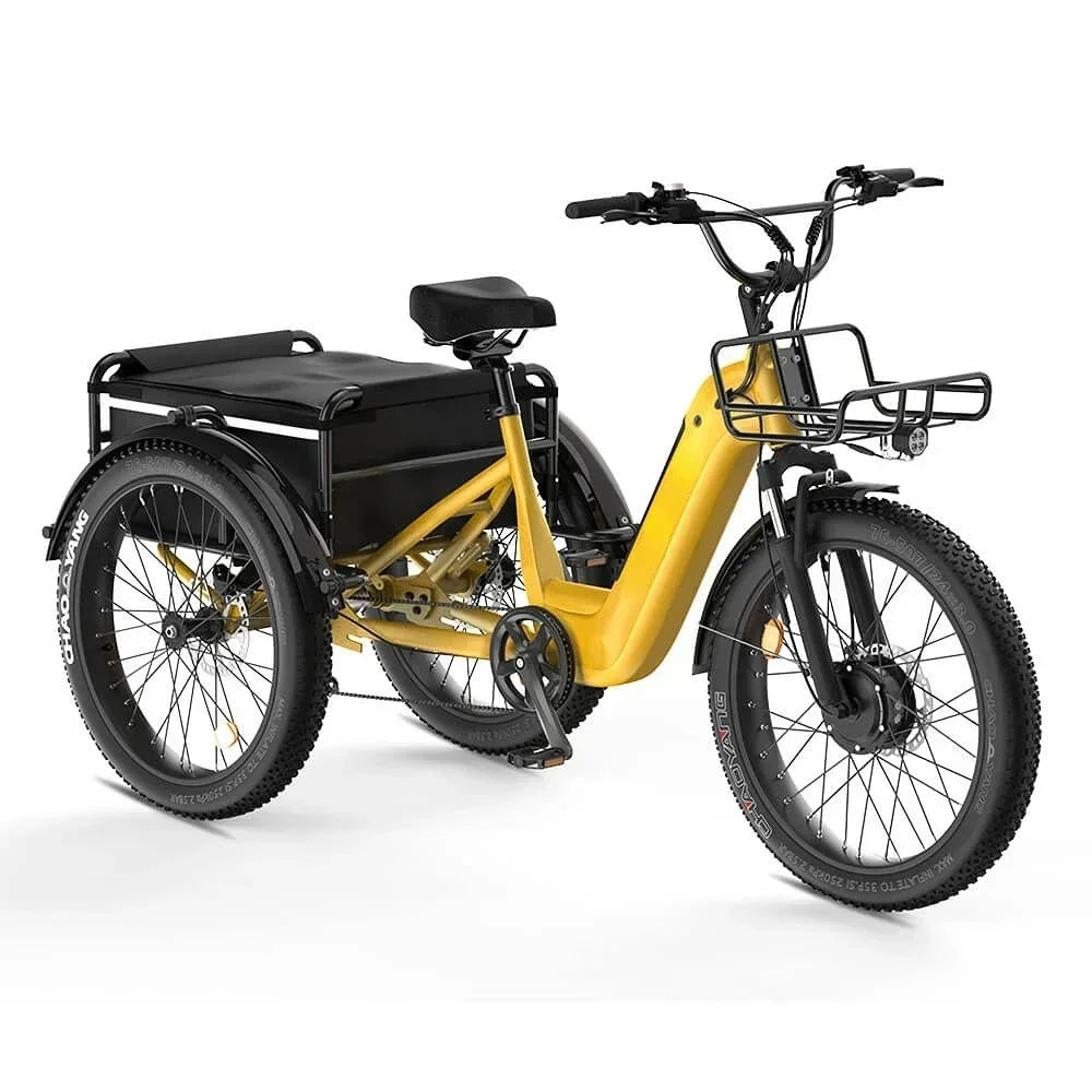 three wheel Electric Bike 500W Motor