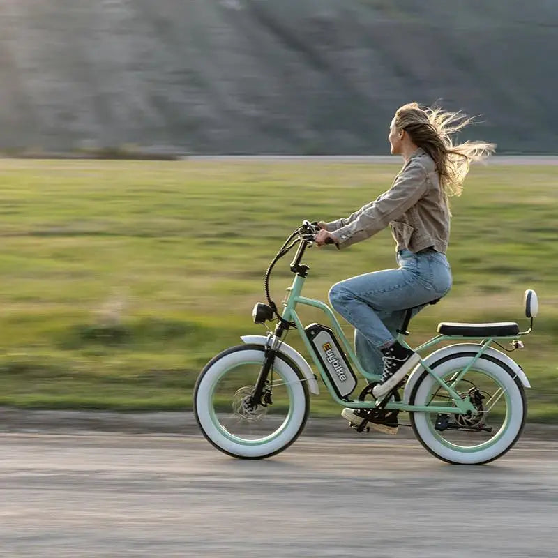 Electric Bike