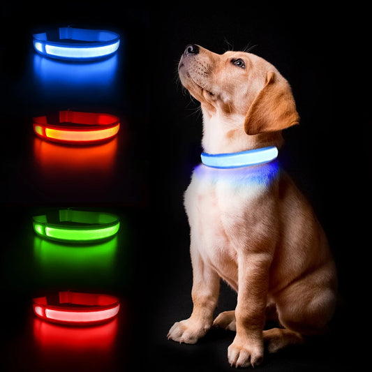 Dog Collar Luminous Pet Supplies