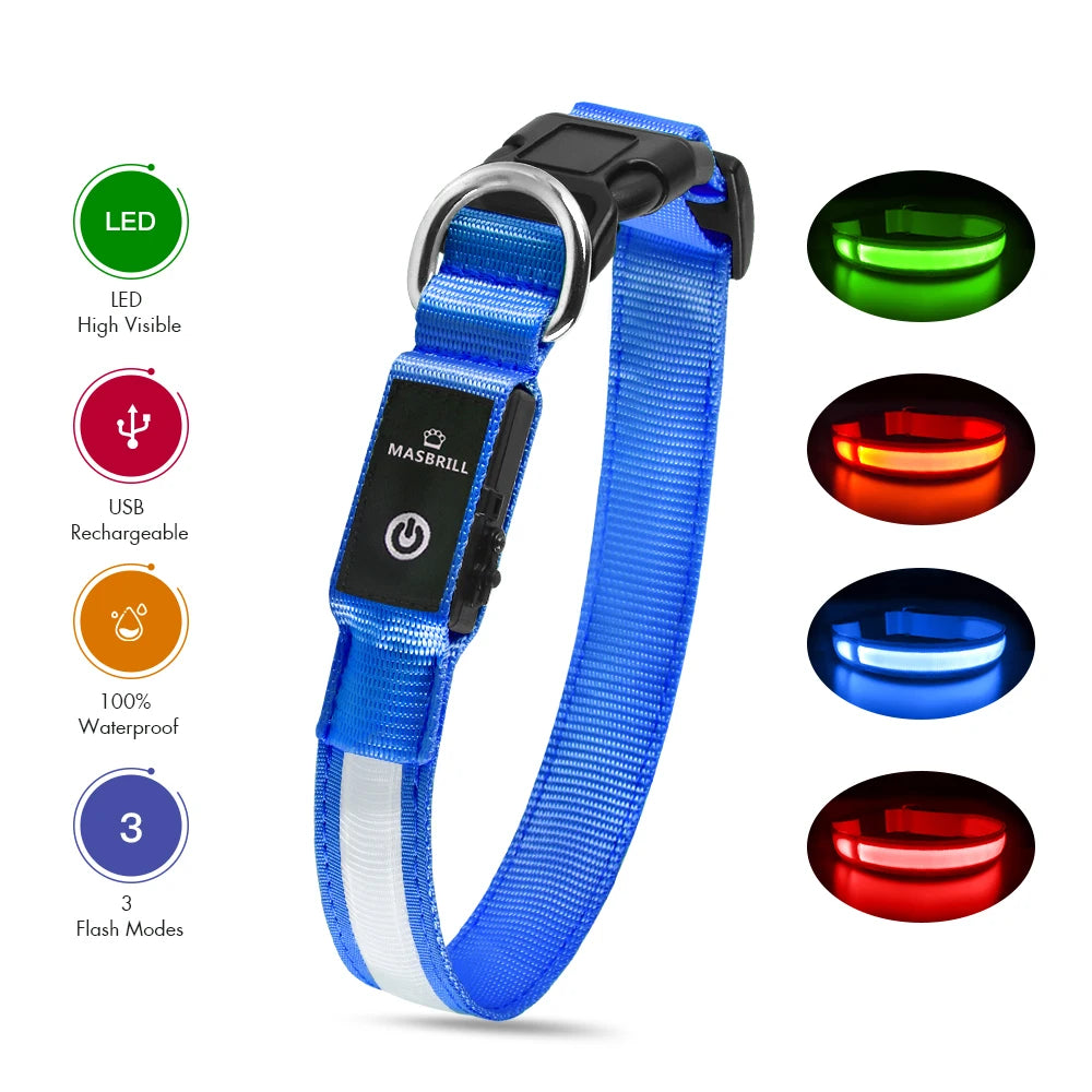 Dog Collar Luminous Pet Supplies