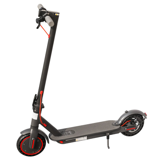 Adult Electric Scooters