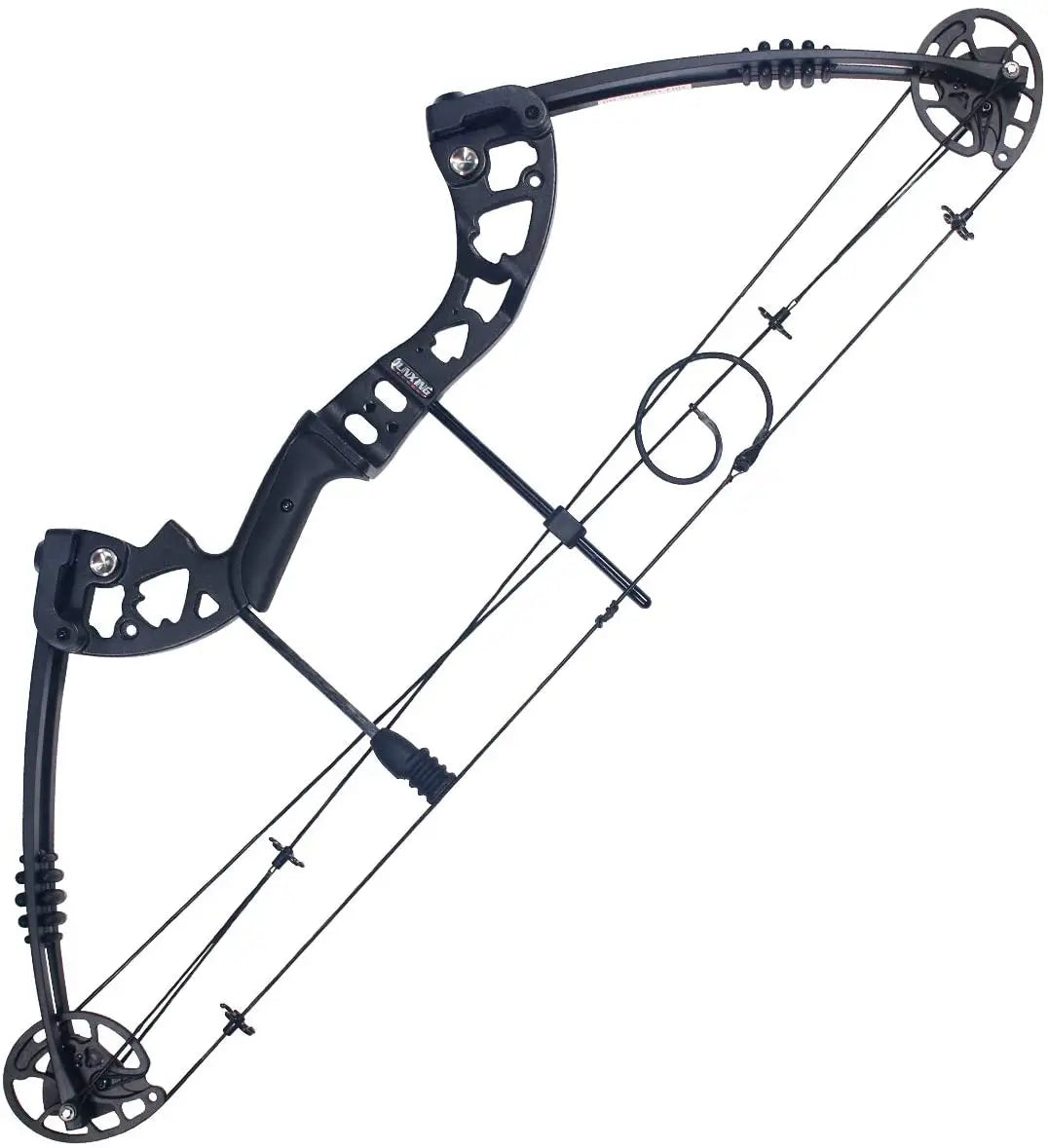 Compound Bow 30-55lbs Archery Hunting