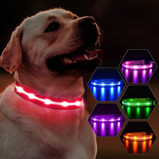 Rechargeable LED Dog Collar  Flashing Lights