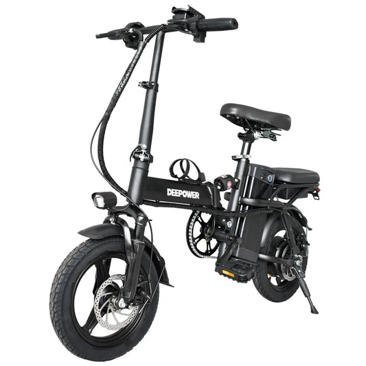 Electric Bike for Adults 600W Peak Motor