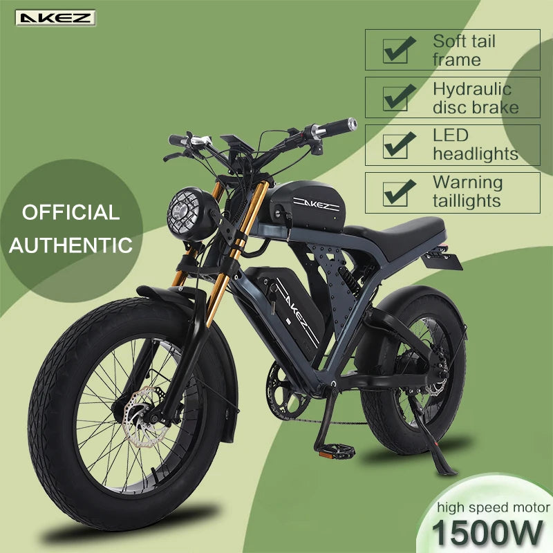 High Power Electric Mountain Bike